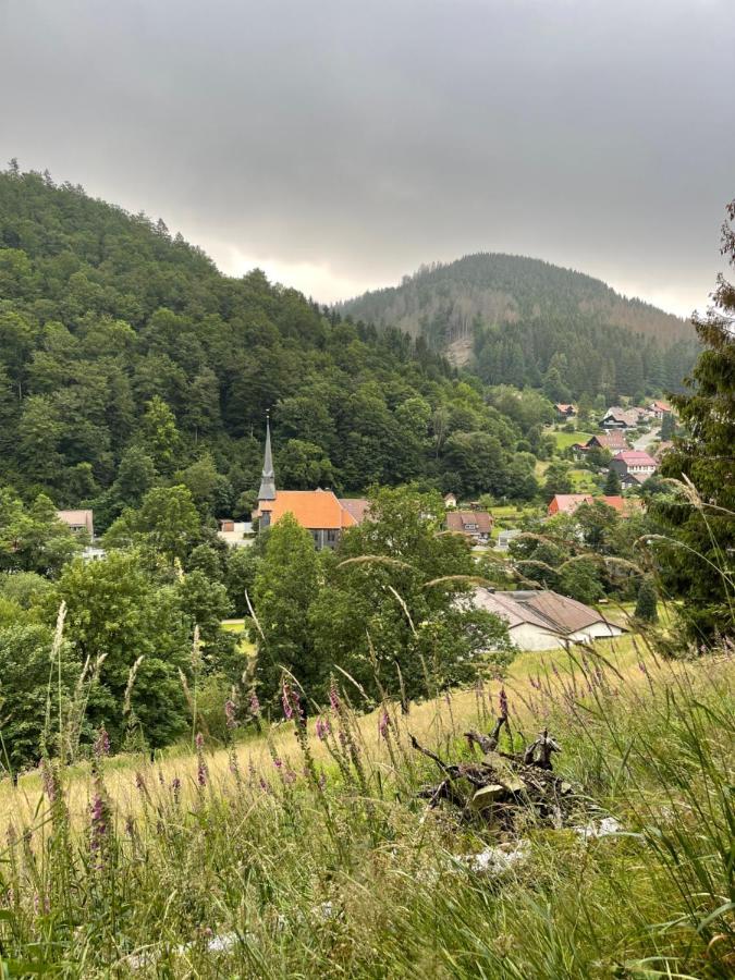 Gemuetliches Apartment Mit Kamin Und Wohnkueche Herzberg am Harz Zewnętrze zdjęcie