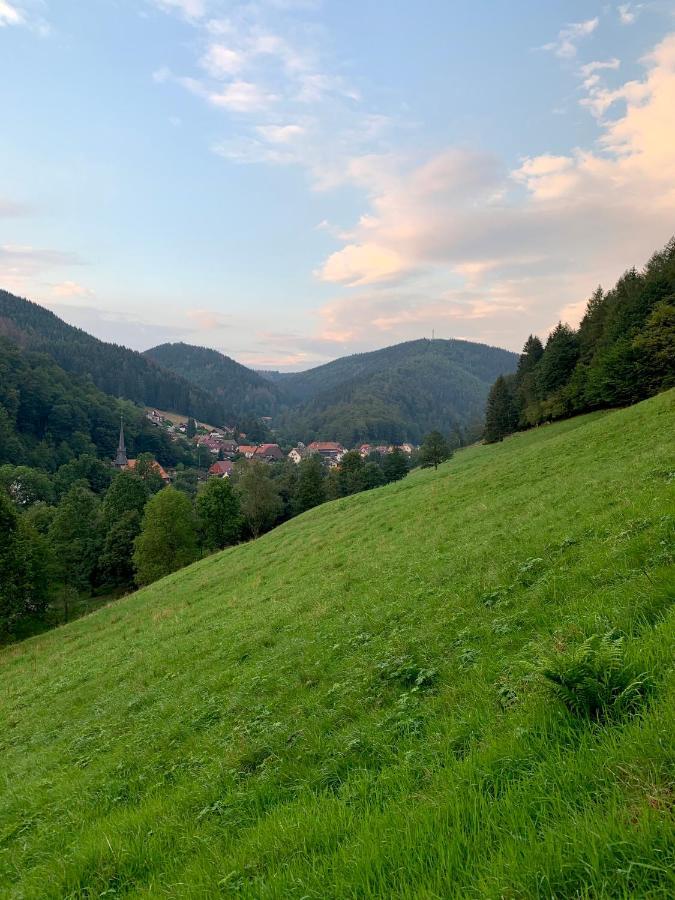 Gemuetliches Apartment Mit Kamin Und Wohnkueche Herzberg am Harz Zewnętrze zdjęcie